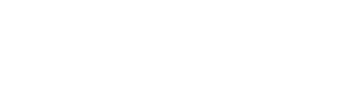 VeriTrust Access